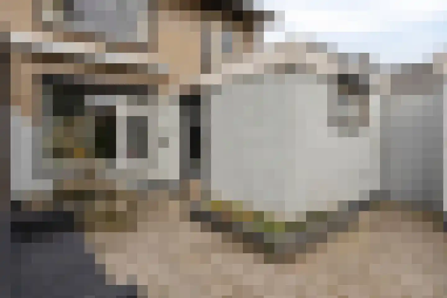 Jan van Daalstraat 35 Beers NB thumbnail 33