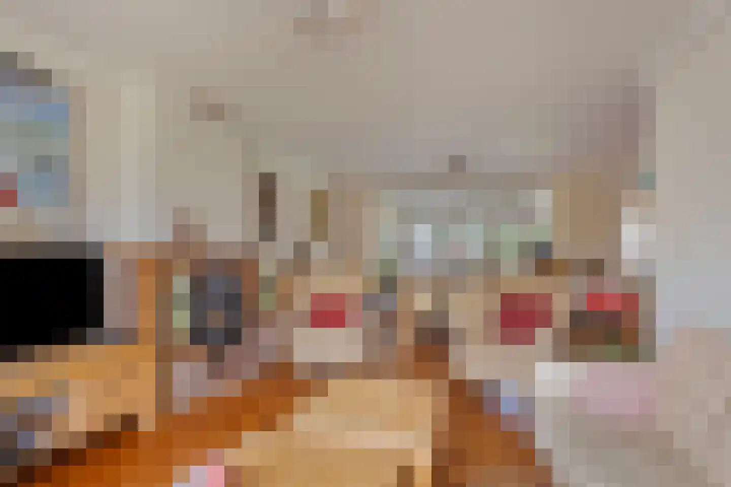 Jan van Daalstraat 42 Beers NB thumbnail 13