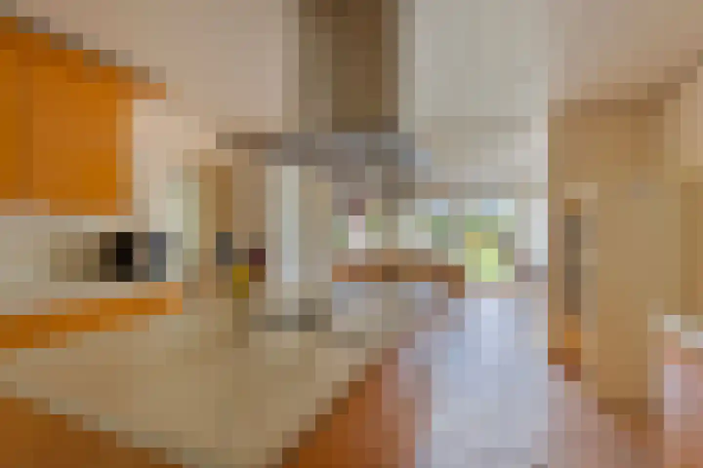 Jan van Daalstraat 42 Beers NB thumbnail 16