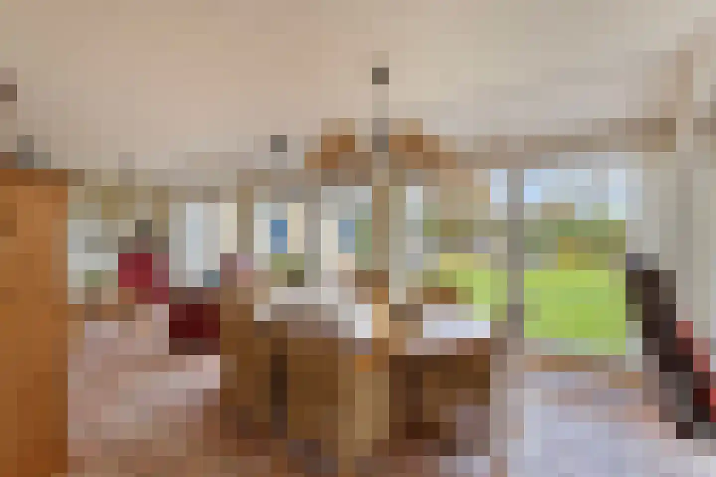 Jan van Daalstraat 42 Beers NB thumbnail 17