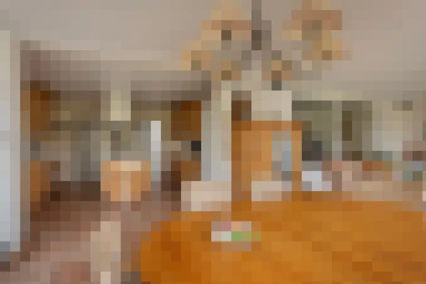 Jan van Daalstraat 42 Beers NB thumbnail 18