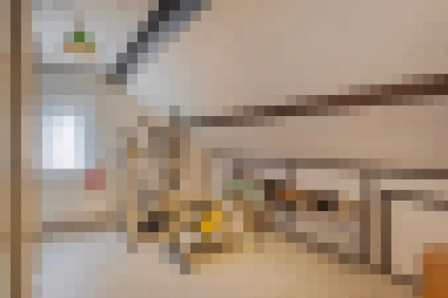 Jan van Daalstraat 42 Beers NB thumbnail 28