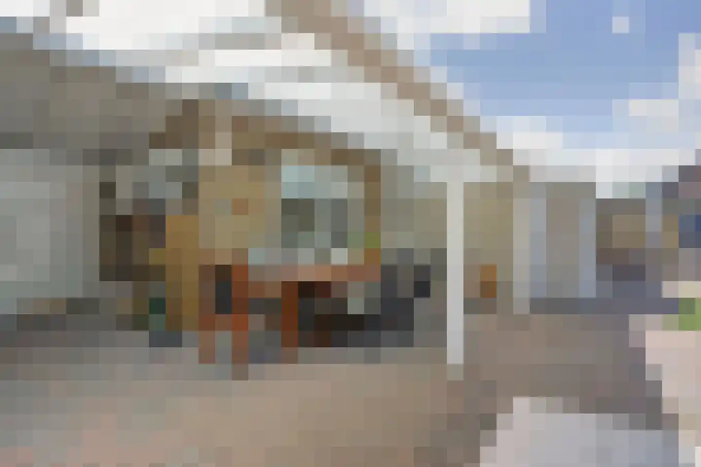 Jan van Daalstraat 42 Beers NB thumbnail 33