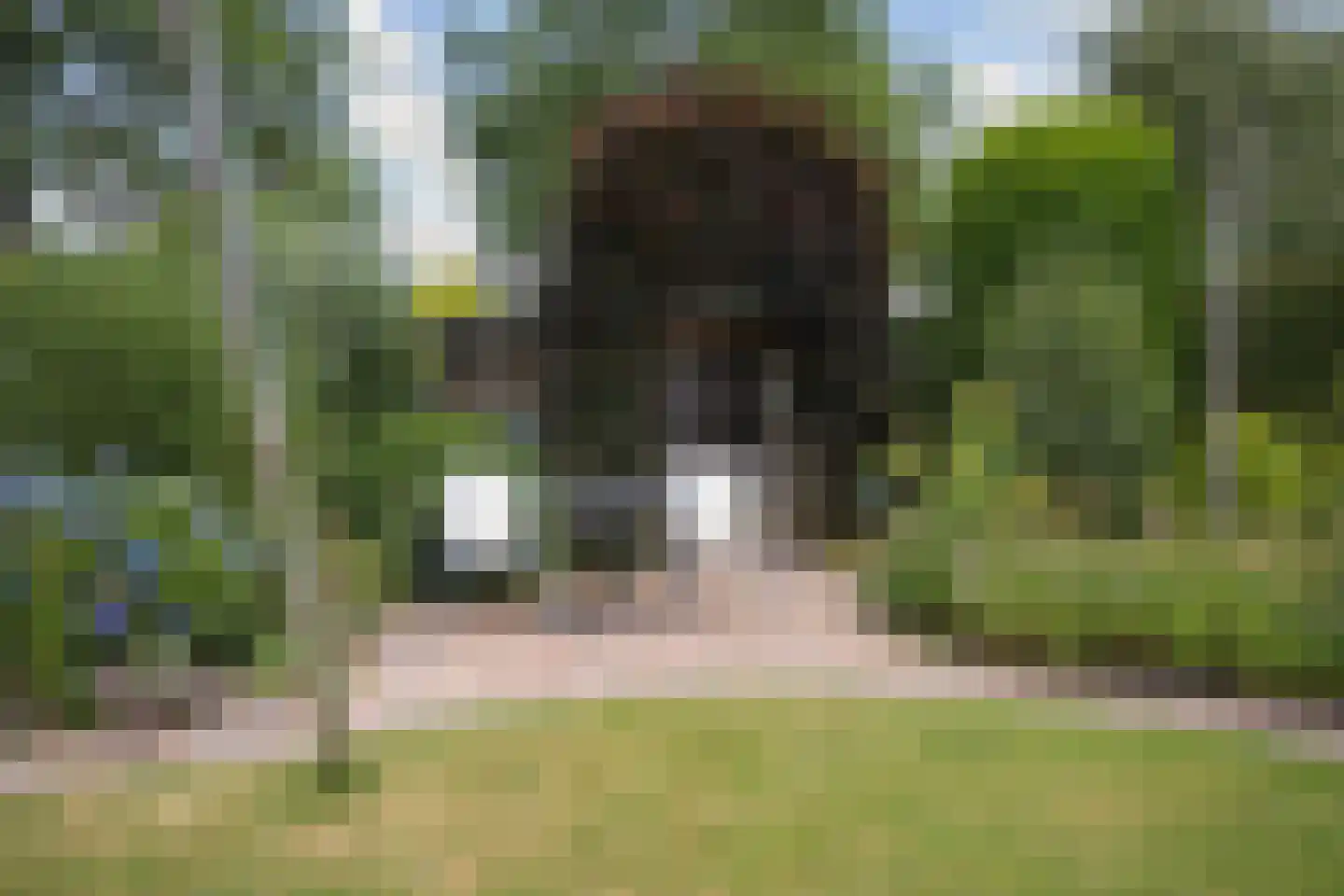 Jan van Daalstraat 42 Beers NB thumbnail 43