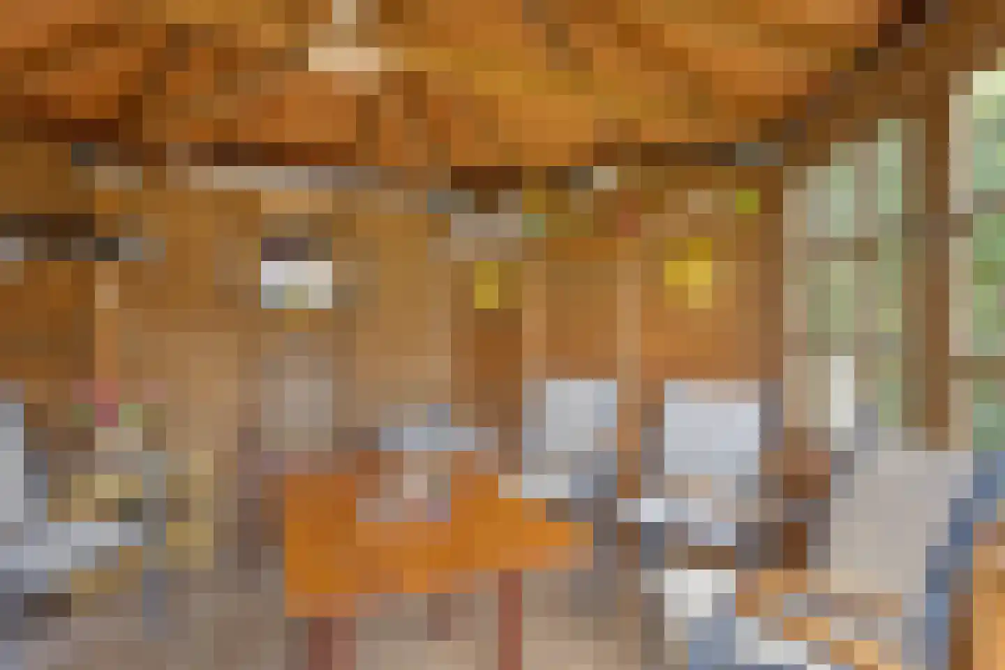 Jan van Daalstraat 42 Beers NB thumbnail 44