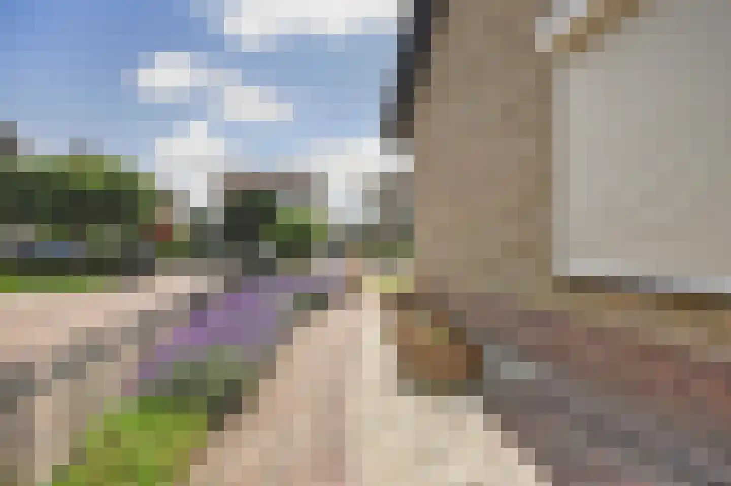 Jan van Daalstraat 42 Beers NB thumbnail 9