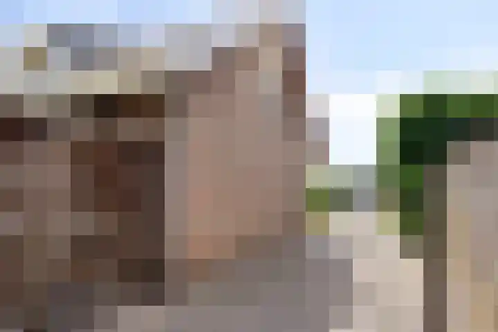 Jan van Daalstraat 52 Beers NB thumbnail 10
