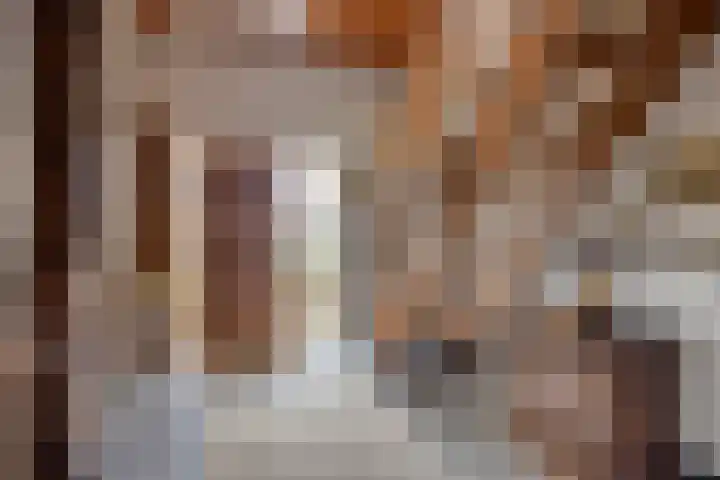 Jan van Daalstraat 52 Beers NB thumbnail 11