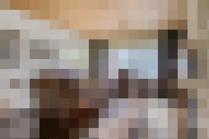Jan van Daalstraat 52 Beers NB thumbnail 14