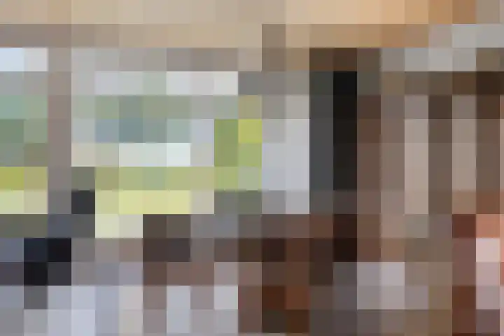 Jan van Daalstraat 52 Beers NB thumbnail 18