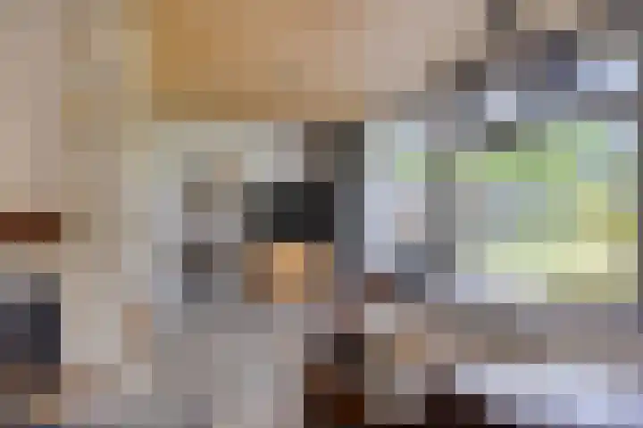 Jan van Daalstraat 52 Beers NB thumbnail 19