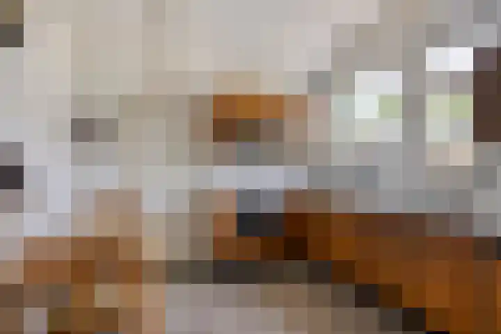 Jan van Daalstraat 52 Beers NB thumbnail 21