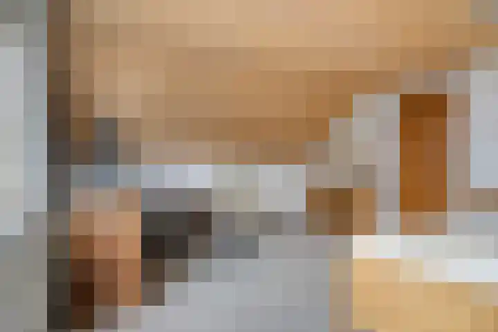 Jan van Daalstraat 52 Beers NB thumbnail 27
