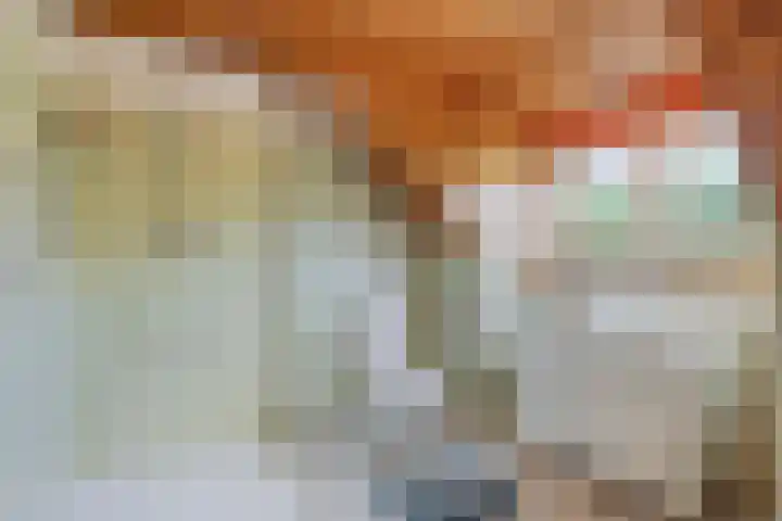 Jan van Daalstraat 52 Beers NB thumbnail 28