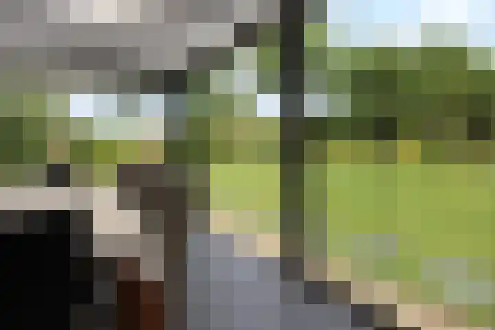 Jan van Daalstraat 52 Beers NB thumbnail 34
