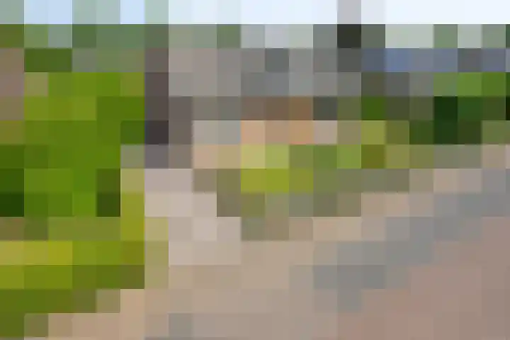 Jan van Daalstraat 52 Beers NB thumbnail 5