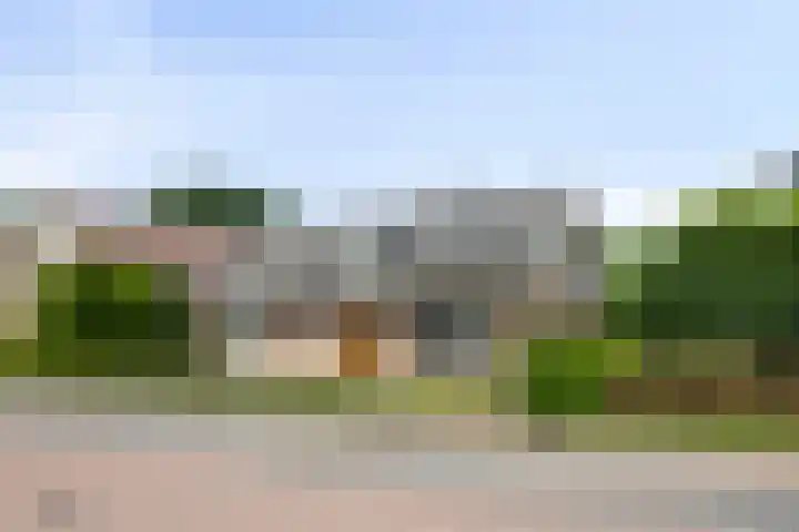 Jan van Daalstraat 52 Beers NB thumbnail 8