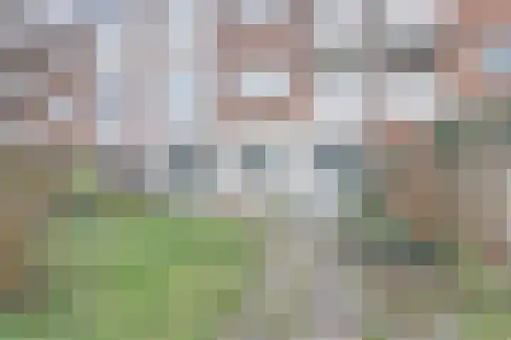 Jan van de Capellelaan 14 Vlissingen thumbnail 23