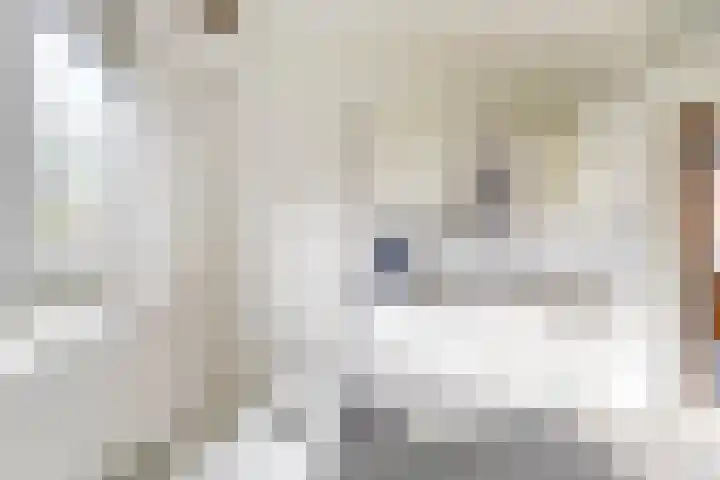 Jan van de Capellelaan 16 Vlissingen thumbnail 11