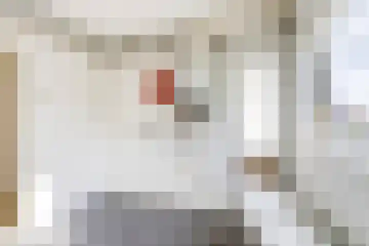 Jan van de Capellelaan 16 Vlissingen thumbnail 13