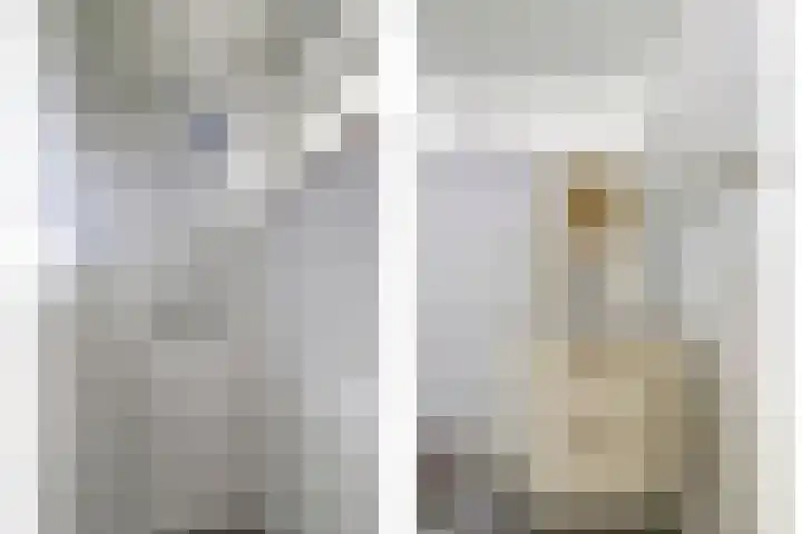 Jan van de Capellelaan 16 Vlissingen thumbnail 20