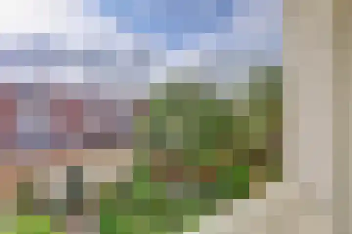 Jan van de Capellelaan 16 Vlissingen thumbnail 23