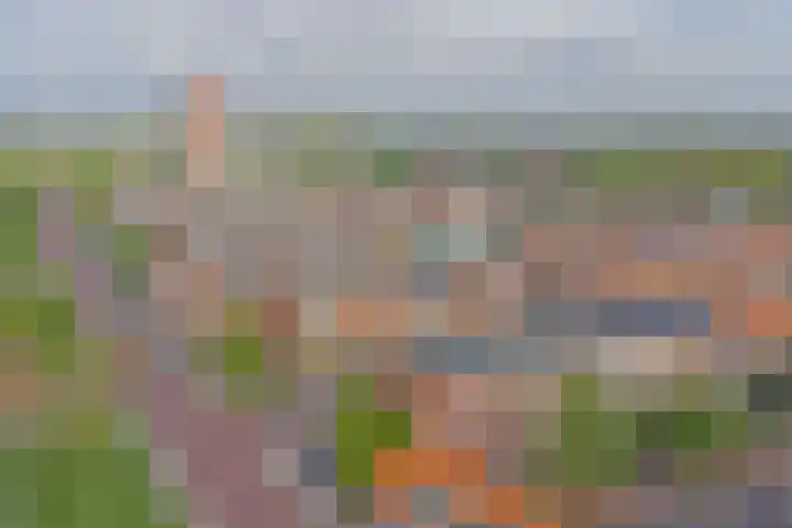 Jan van de Capellelaan 16 Vlissingen thumbnail 28