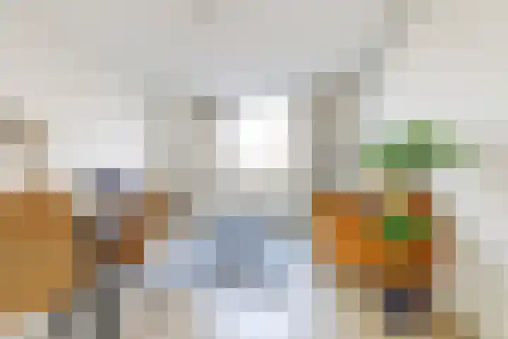 Jan van de Capellelaan 16 Vlissingen thumbnail 8