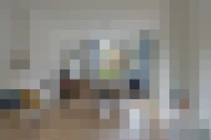 Jan van de Capellelaan 17 Eindhoven thumbnail 12