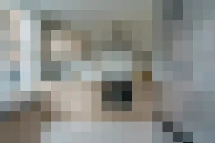 Jan van de Capellelaan 17 Eindhoven thumbnail 18