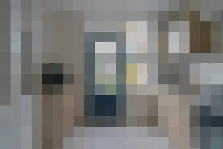 Jan van de Capellelaan 17 Eindhoven thumbnail 19