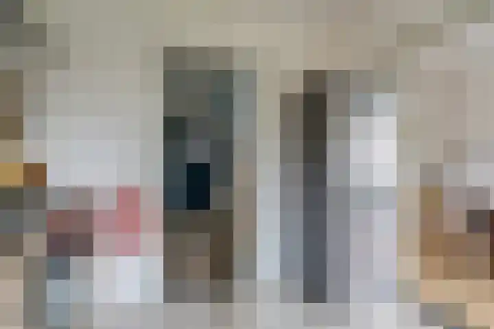 Jan van de Capellelaan 17 Eindhoven thumbnail 20