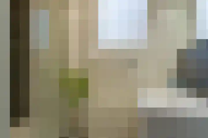 Jan van de Capellelaan 17 Eindhoven thumbnail 33