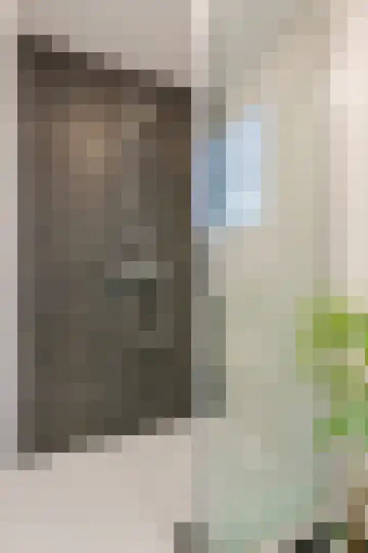 Jan van de Capellelaan 17 Eindhoven thumbnail 36