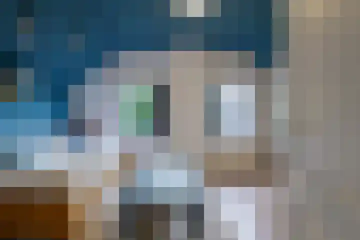 Jan van de Capellelaan 17 Eindhoven thumbnail 40