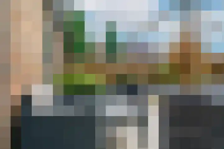Jan van de Capellelaan 17 Eindhoven thumbnail 43