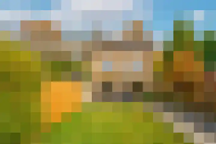 Jan van de Capellelaan 17 Eindhoven thumbnail 46