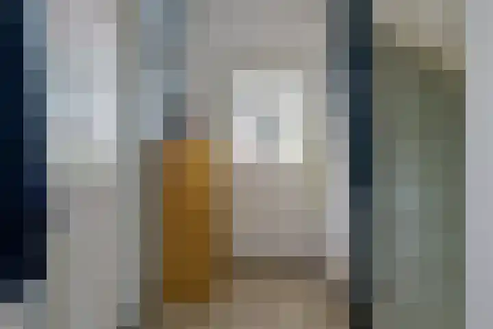 Jan van de Capellelaan 17 Eindhoven thumbnail 8