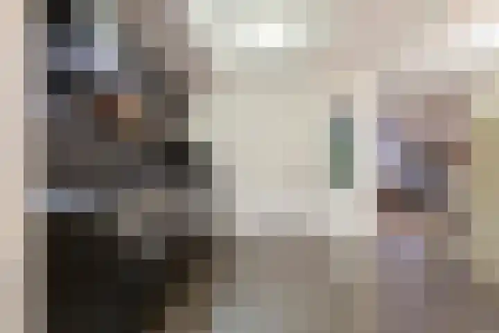 Jan van de Capellelaan 19 Eindhoven thumbnail 11