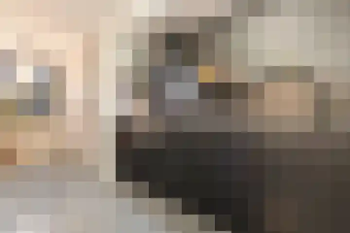 Jan van de Capellelaan 19 Eindhoven thumbnail 12