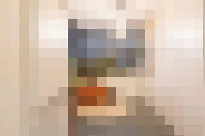 Jan van de Capellelaan 19 Eindhoven thumbnail 13