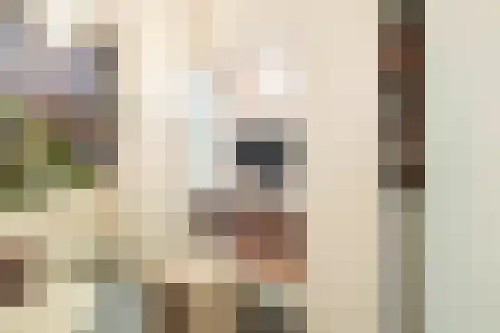 Jan van de Capellelaan 19 Eindhoven thumbnail 14