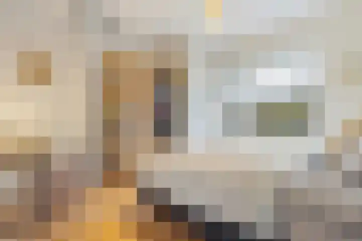 Jan van de Capellelaan 19 Eindhoven thumbnail 16