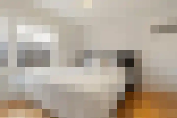 Jan van de Capellelaan 19 Eindhoven thumbnail 17