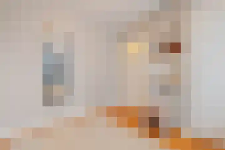 Jan van de Capellelaan 19 Eindhoven thumbnail 20