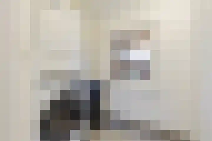 Jan van de Capellelaan 19 Eindhoven thumbnail 27