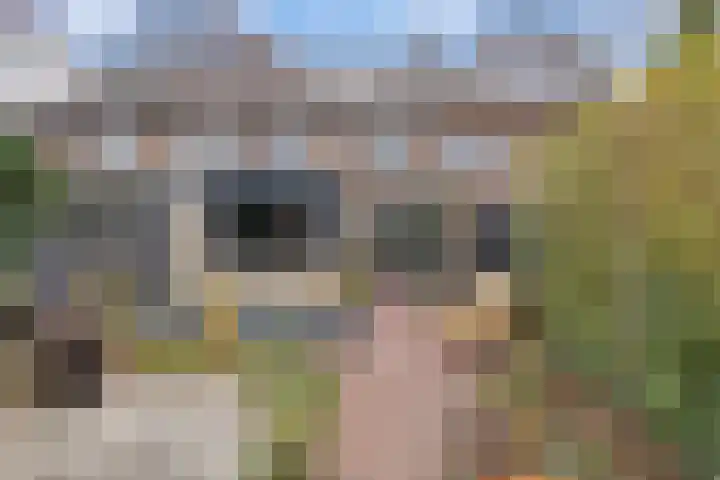 Jan van de Capellelaan 19 Eindhoven thumbnail 32