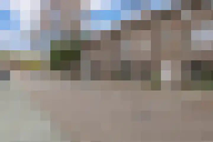 Jan van de Capellelaan 19 Eindhoven thumbnail 34
