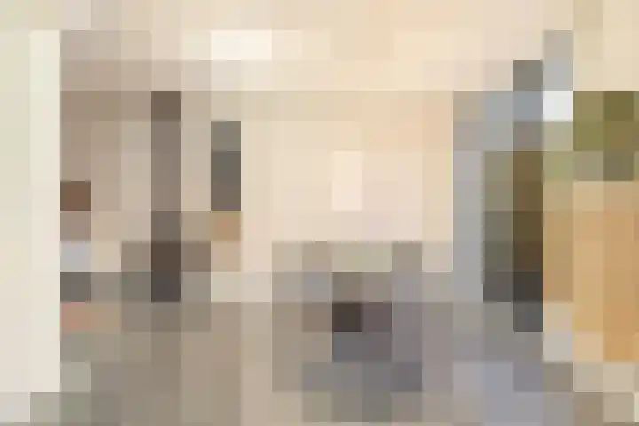 Jan van de Capellelaan 19 Eindhoven thumbnail 4