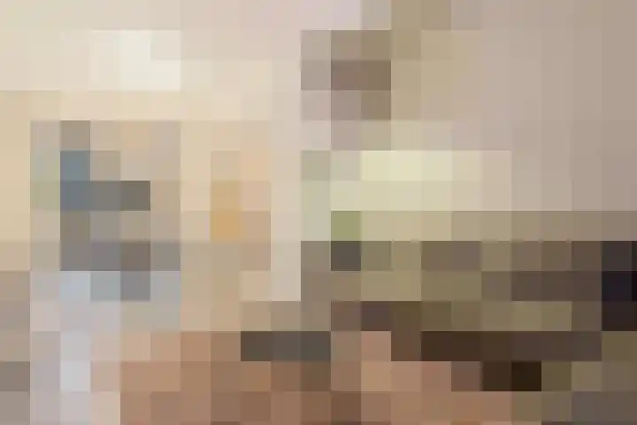Jan van de Capellelaan 19 Eindhoven thumbnail 7